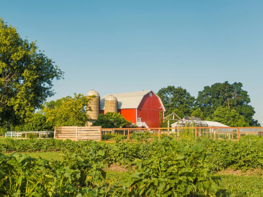 Beautiful red barn amidst lush greenery on a sunny day in Alto, Michigan.
